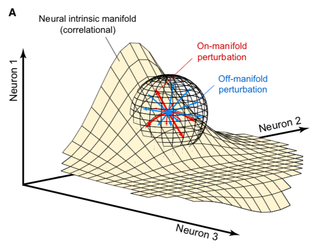 manifold_perturbation.png